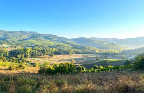 Chianti dreaming in Radda - Foto 62