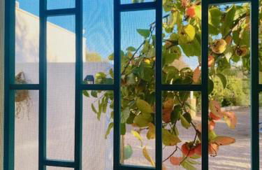 Casa Trullo Bianco: Casa Vicino - Foto 18