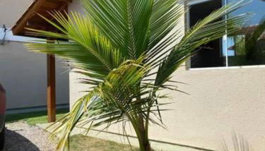 Apartamento Loft na Praia do Campeche! - Photo 1, Garden, Garden view