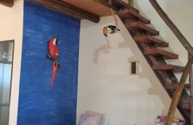 Chale para temporada - Bonito MS - Foto 52