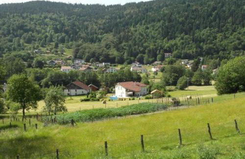 Gîte familial aux Vosges avec jeux pour enfants, à proximité de la nature et activités sportives - FR-1-589-111 - Foto 11
