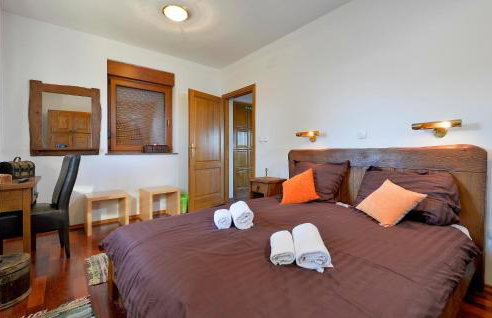 Nice Home In Zelezna Gora With Sauna - Foto 48