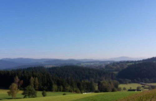 3 Michael Weiß Comfortable holiday residence - Foto 4