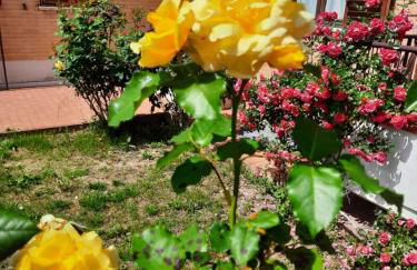 Casa Gianfranco - Foto 10