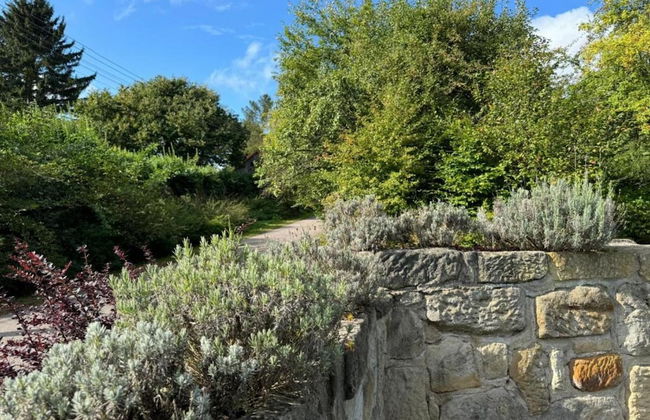 Peaceful Holiday Home in Holin With Garden - Photo 25