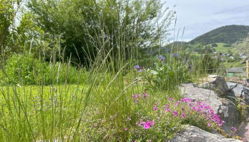 Ferienwohnung Käppeleblick - Photo 4