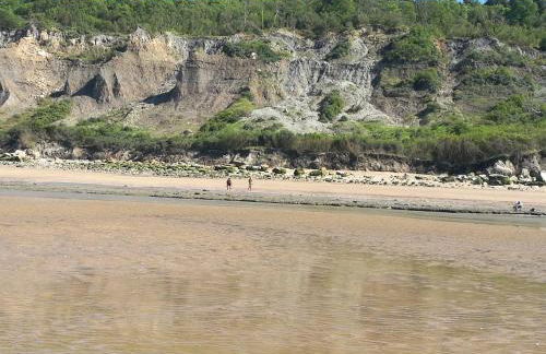 La Longère d'Auberville - Photo 28