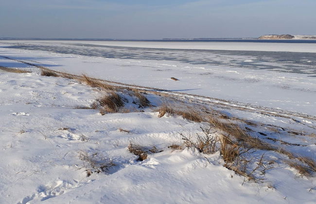 Cozy Dog-friendly Cottage Near Coast-by Traum - Foto 7