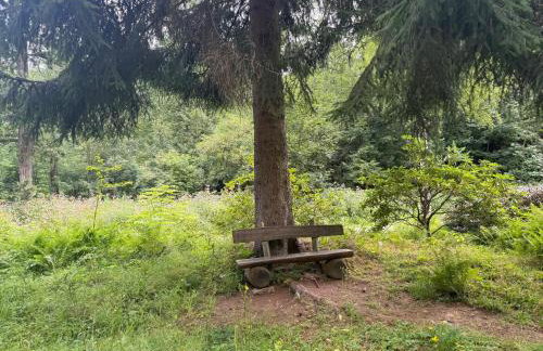 Holzhaus Harzville - Foto 35