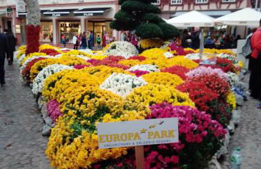 Gästehaus Brunhilde - Foto 31