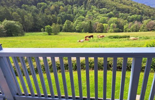 "Arberblick" im Ferienland Sonnenwald Arberblick - Foto 18