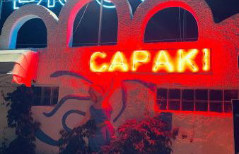 Citrus garden - Photo 37