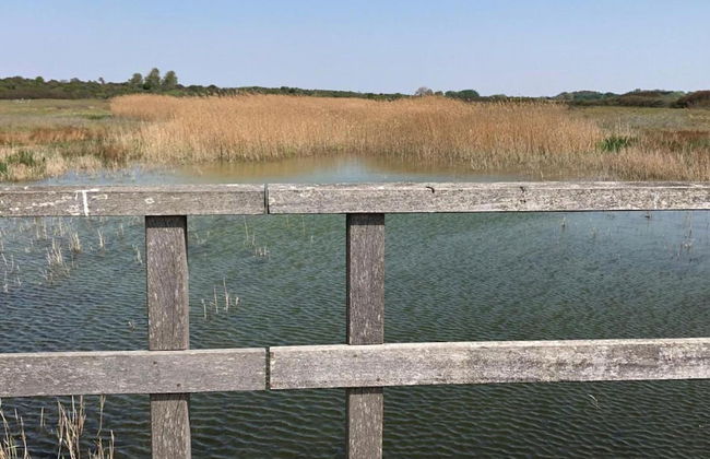 Luxury Chalet Near Ouddorp With Garden - Photo 39