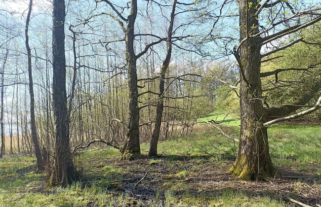 4 Person Holiday Home in Snedsted-by Traum - Foto 11