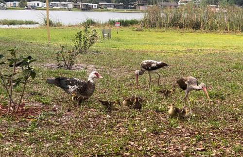 Lakeside retreat - 3 Bedroom, 2 Bathroom house by the lake - Foto 31