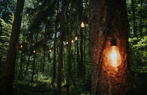 Forest Cabin - 50min od Warszawy - Foto 7