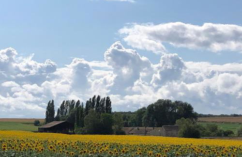 Gîtes à la ferme idéal en couple, famille ou amis - Foto 15