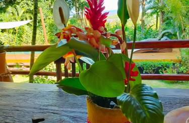 Pousada Boutique Sitio das Jaqueiras-Vista Rio Mar - Foto 49