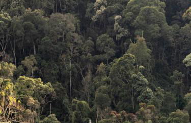 Mataka'a - Chalé Industrial na Mantiqueira - Foto 45