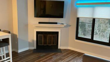 Modern Condo with Ski In & Ski Out - Silver Creek Lodge, Snowshoe - Foto 3