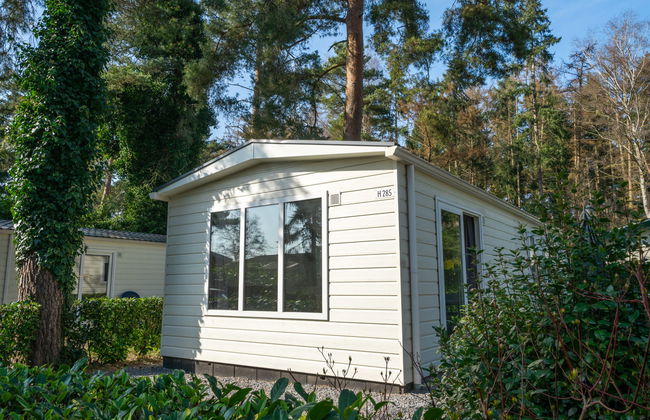 2 bedroom House in Lochem with swimming pool and terrace - Photo 13