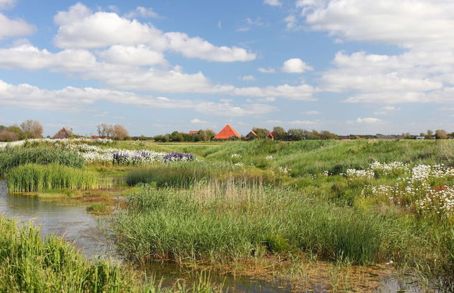 Single Storey Lodge With Dishwasher, Near the Beach - Foto 23
