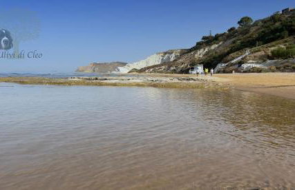 Ulivi di Cleo - Foto 54