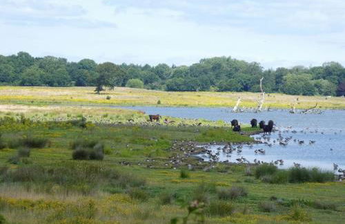 Holiday home with 2 bedrooms - Foto 17