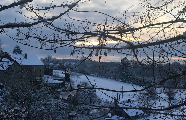 Stone House in Hamoir With Private Pool - Foto 46