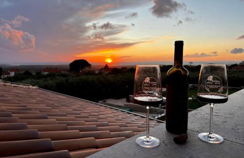 Villa Vinova Loza - Foto 21