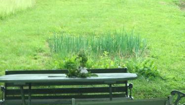 Dom z ogrodem w malowniczej okolicy Bieszczady - Foto 4