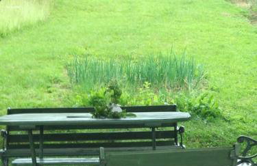 Dom z ogrodem w malowniczej okolicy Bieszczady - Foto 4