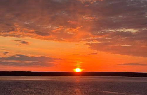 Seaview luxury pod - Photo 20