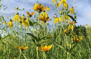 Historic Converted Barn Loft at Sobremesa Farm - Foto 6