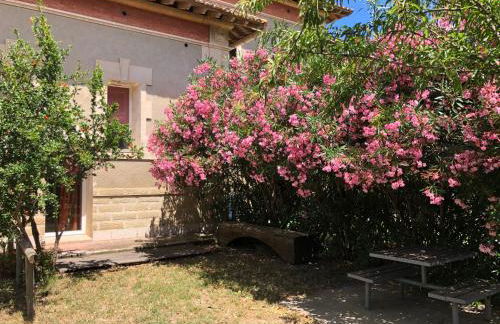 Les Pierrades en Camargue - Photo 14