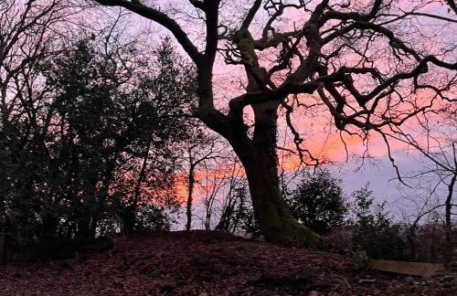 Gelli Barn - Foto 21