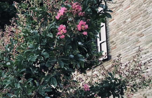 Villa Bella Rosa - Foto 41