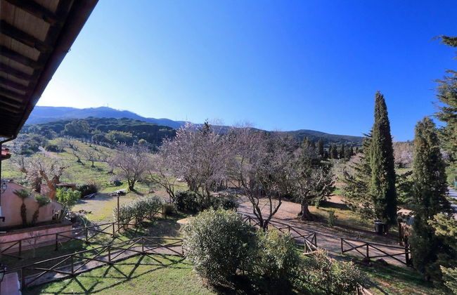 Pimpinnacolo 1 - 1BR M2 - Foto 17