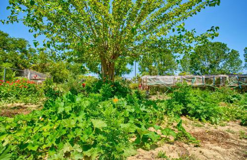 Stacys Apartments near Sidari - Foto 48