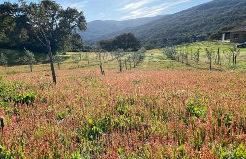 FAMILIAR y UNICA VILLA EN GAUCIN - Foto 3