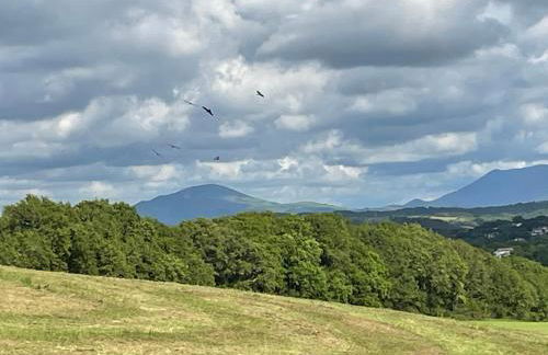 Villa ARGUIBEL - Foto 50