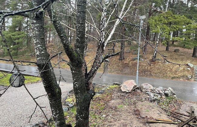 Rudbecksgatan - Foto 50