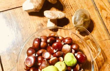 Mosteirinho - Foto 5