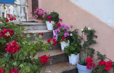 Athena Casa Vacanze - Foto 46