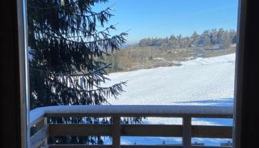 Chalet bois au calme, en lisière de forêt, balcons, sentiers balades Gérardmer & Alsace "Chalet Mon beau sapin" - Foto 5