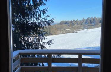 Chalet bois au calme, en lisière de forêt, balcons, sentiers balades Gérardmer & Alsace "Chalet Mon beau sapin" - Foto 5