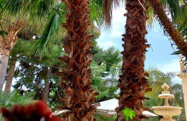 Tenuta Costa - Foto 35