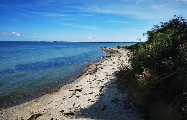 Appartements Post Hiddensee in Vitte - Foto 8