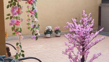 Magnolia House - Foto 3