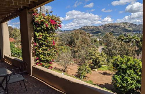 Buena Creek Vista Primary Subdivided Home with Views and Pool - Foto 18